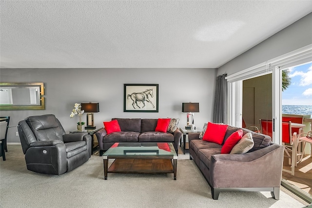 carpeted living room featuring a textured ceiling