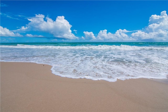 water view featuring a beach view