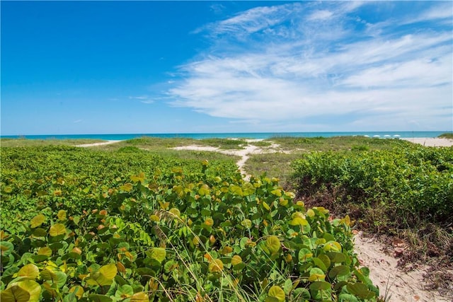 property view of water featuring a beach view