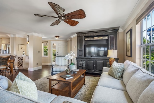 living room featuring ceiling fan, dark hardwood / wood-style floors, and ornamental molding