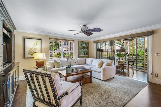 living room featuring dark wood-type flooring, ceiling fan, and crown molding