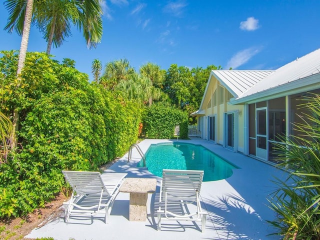 view of pool with a patio