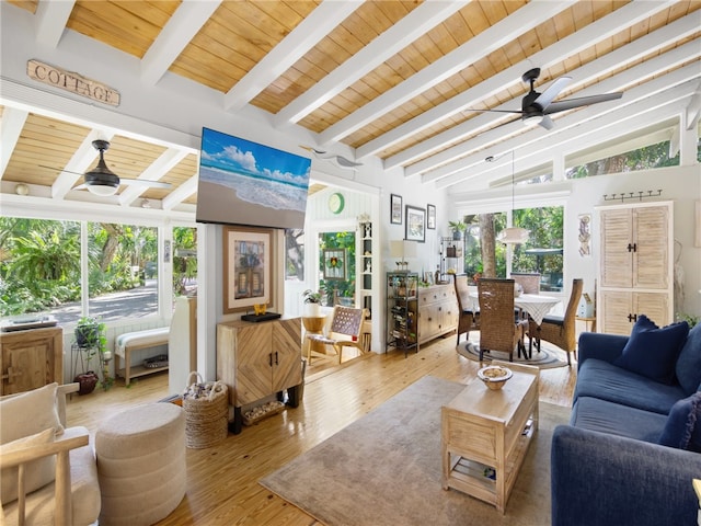 living room with lofted ceiling with beams, ceiling fan, a wealth of natural light, and light hardwood / wood-style flooring