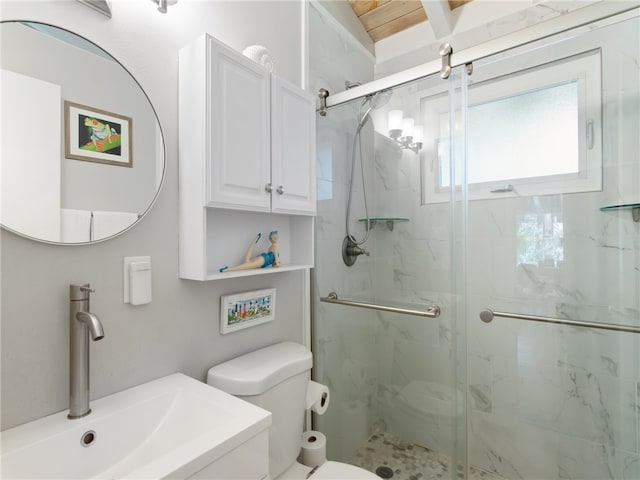 bathroom with toilet, an enclosed shower, and sink