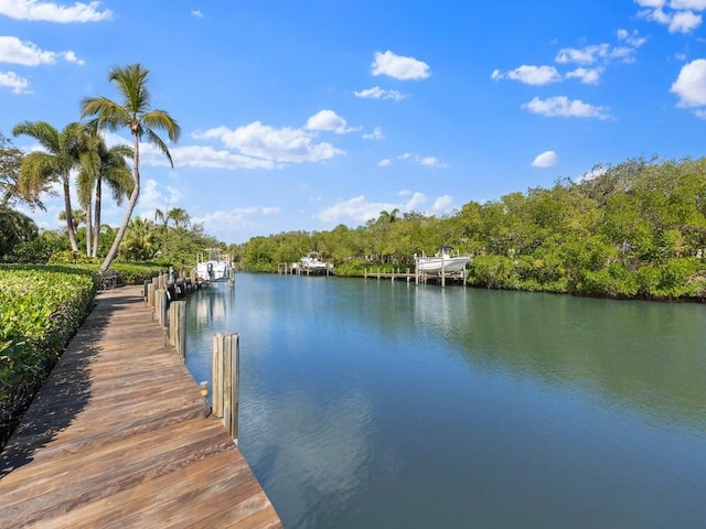 view of dock with a water view