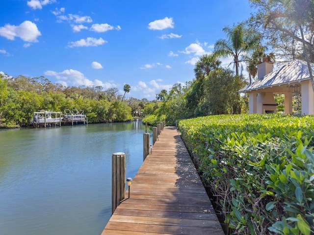 dock area with a water view