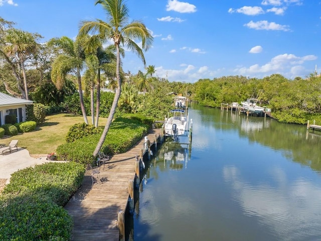 dock area with a water view