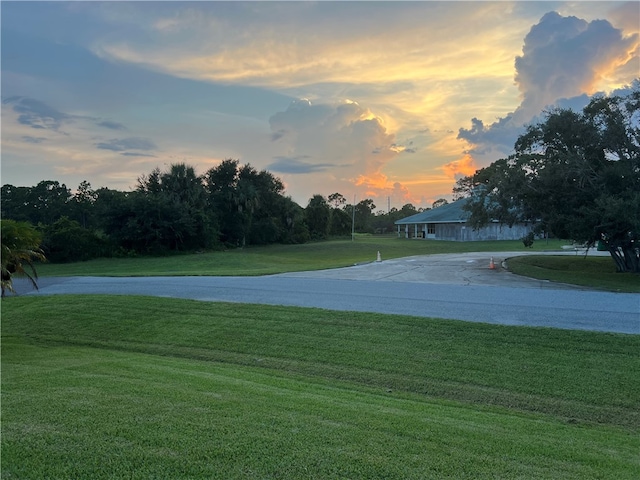 view of community with a yard