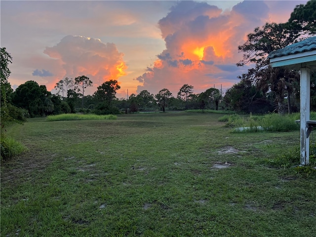 view of yard at dusk