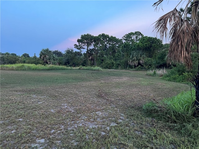 view of yard at dusk