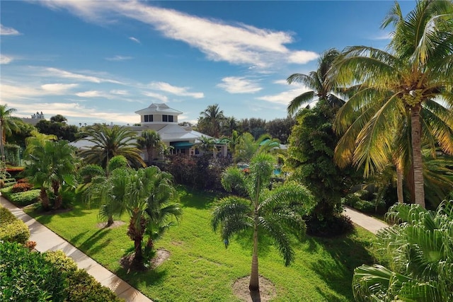 940 Turtle Cove Ln Unit 207, Vero Beach, FL 32963 - view of green lawn