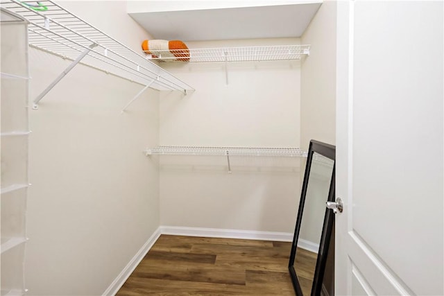 spacious closet with wood finished floors