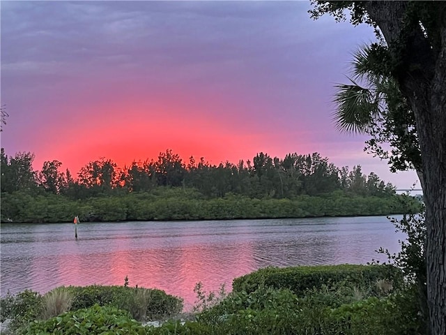 property view of water