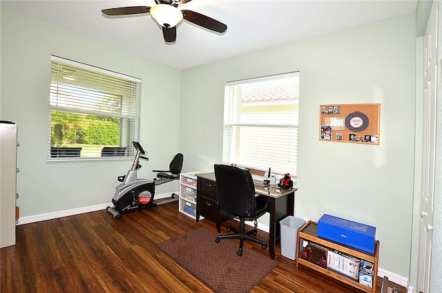 home office with ceiling fan and dark hardwood / wood-style floors