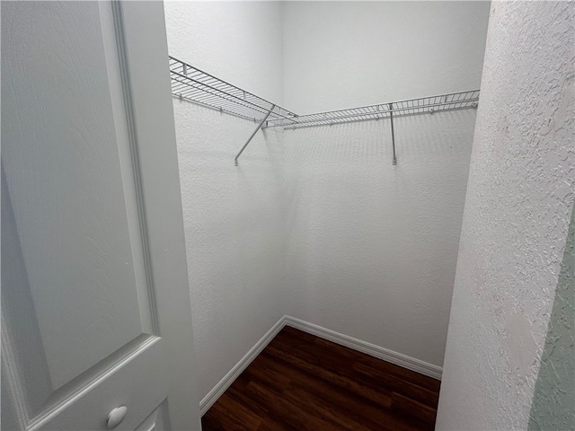 walk in closet with dark hardwood / wood-style flooring