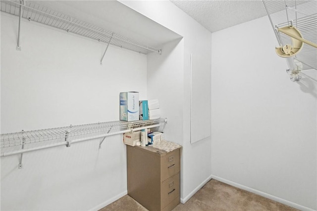 walk in closet with light colored carpet