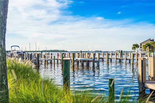 dock area with a water view