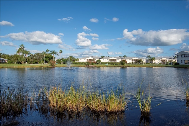 property view of water