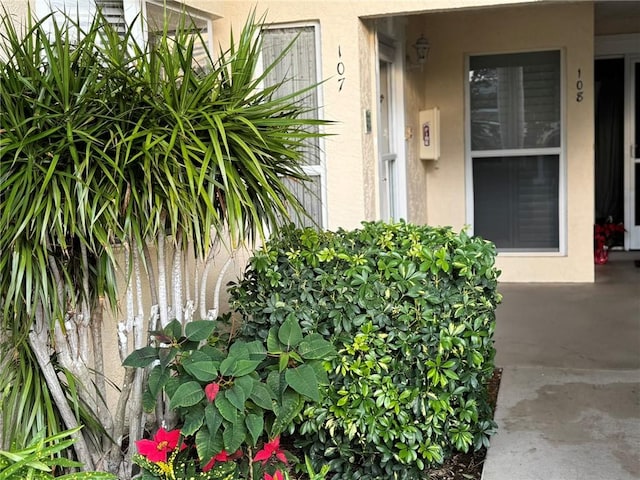 view of exterior entry featuring stucco siding