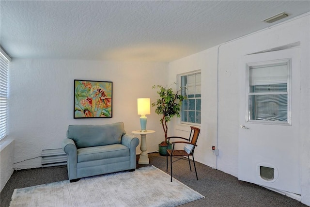 8520 US Highway 1 Unit 11E, Micco, FL 32976 - living area featuring carpet flooring, visible vents, and a textured ceiling