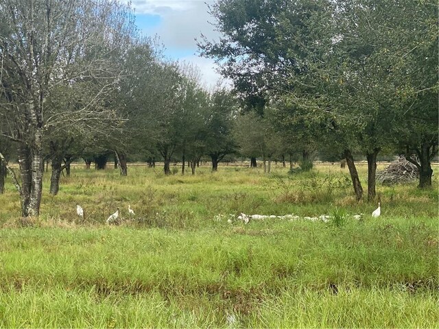 0 Shinn Rd, Fort Pierce, FL 34945 - photo 11