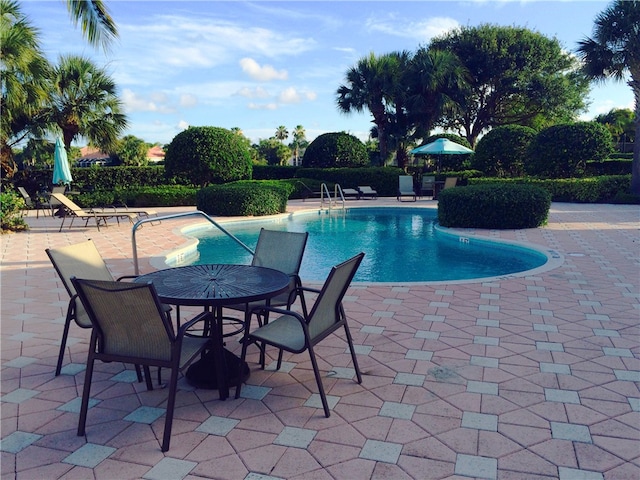 view of swimming pool featuring a patio area