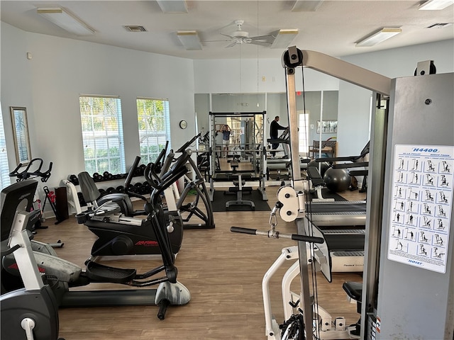 exercise room with hardwood / wood-style floors and ceiling fan