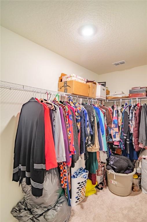 1580 Eastlake Ln, Sebastian, FL 32958 - spacious closet with carpet