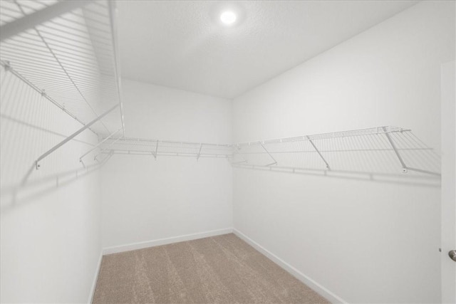 3544 Angler Dr, Fort Pierce, FL 34946 - walk in closet with light carpet