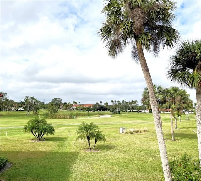 view of home's community with a yard