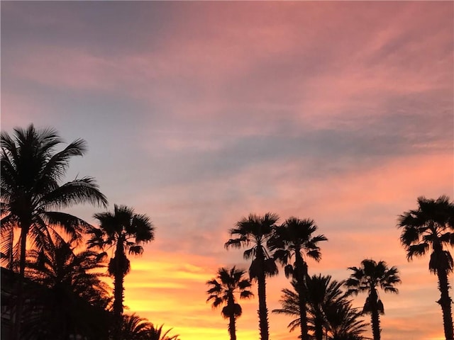 view of nature at dusk