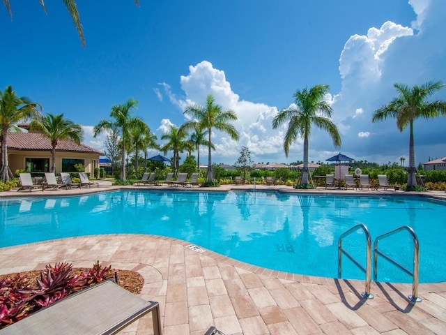 view of swimming pool featuring a patio