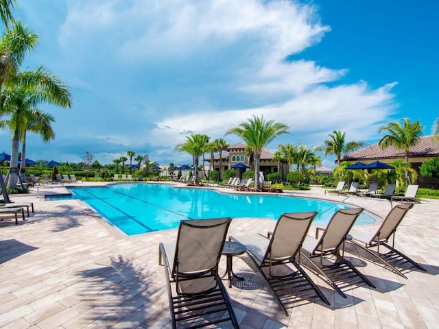 view of pool featuring a patio