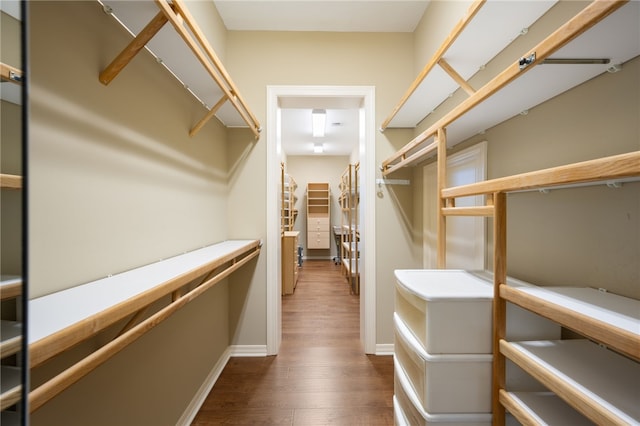 walk in closet with dark hardwood / wood-style flooring