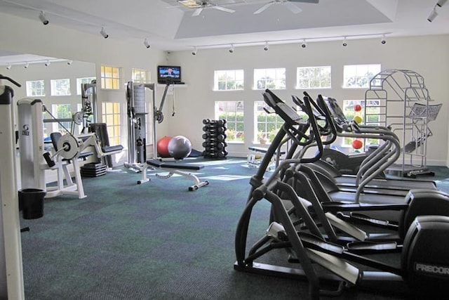 gym featuring ceiling fan and rail lighting