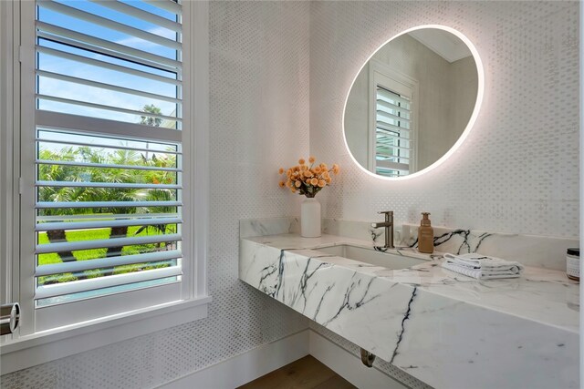 bathroom with sink and plenty of natural light