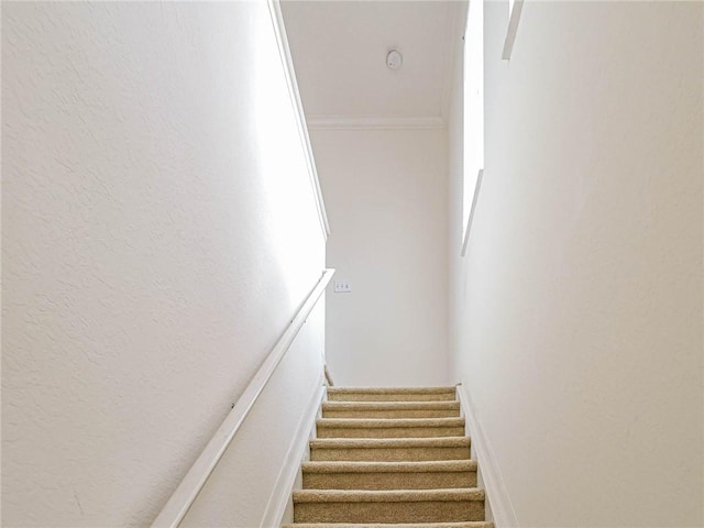 2536 57th Cir Unit 2536, Vero Beach, FL 32966 - photo 3