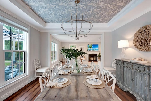 dining space with crown molding, a tray ceiling, and dark wood-type flooring