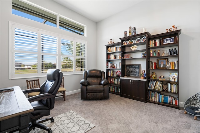 view of carpeted home office