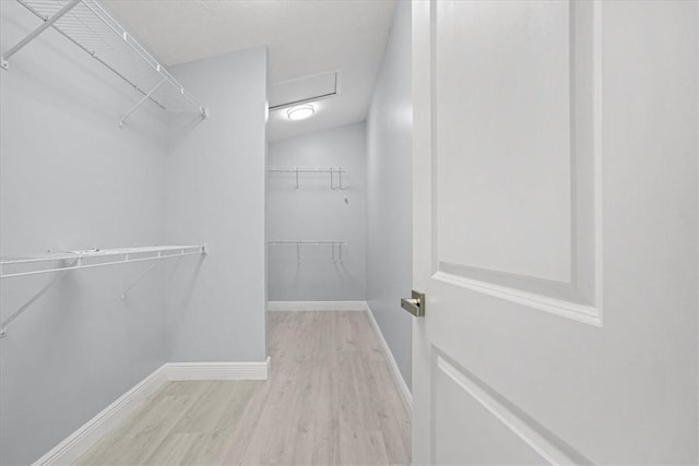 614 Stevenson Ave, Sebastian, FL 32958 - walk in closet featuring wood finished floors and attic access