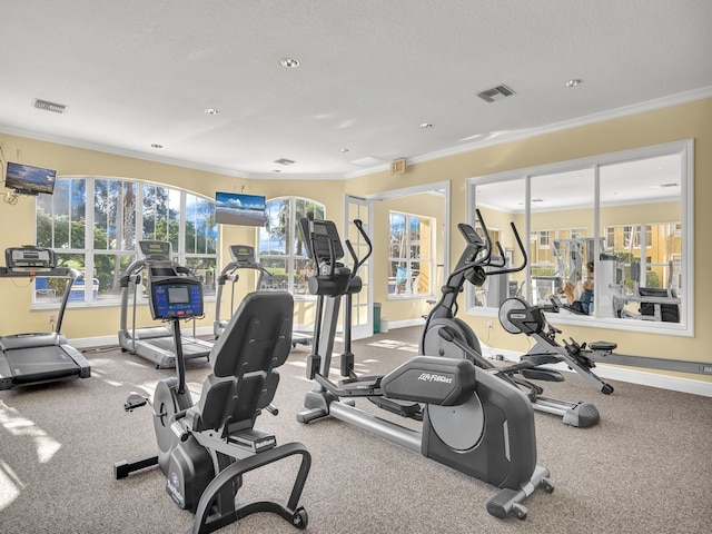 workout area with a textured ceiling, a wealth of natural light, and crown molding