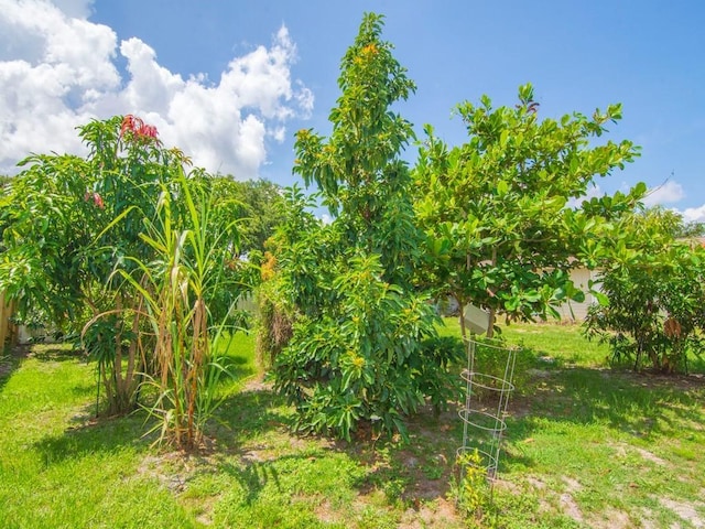 432 Watercrest St, Sebastian, FL 32958 - view of undeveloped land