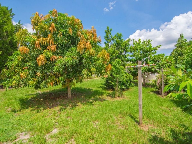 432 Watercrest St, Sebastian, FL 32958 - view of green lawn