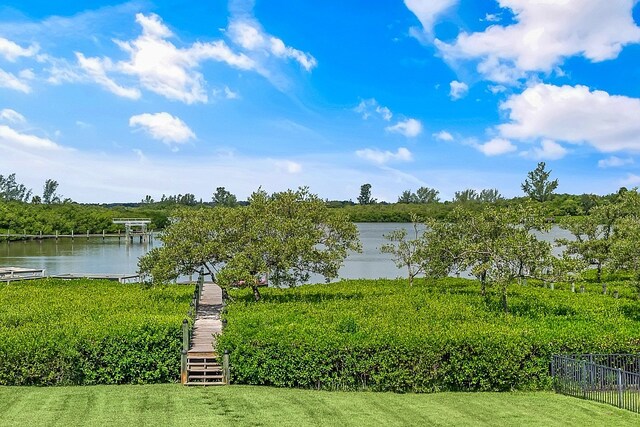 water view featuring a boat dock