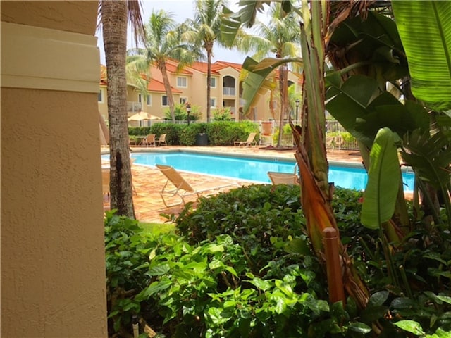 view of swimming pool with a patio area