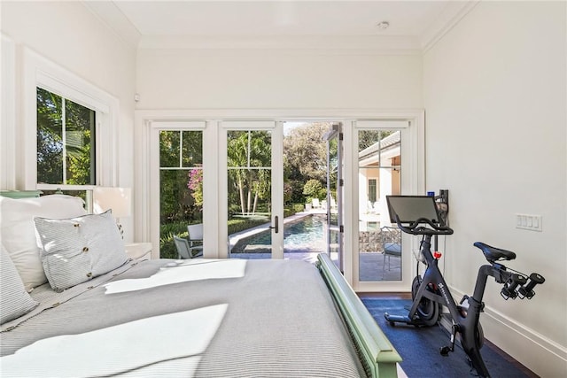 exercise room featuring ornamental molding