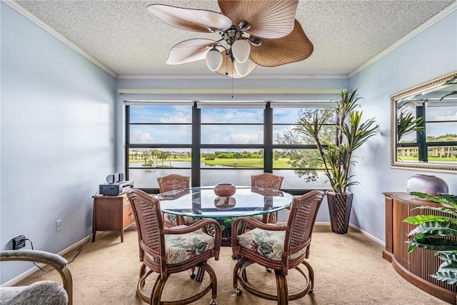 sunroom / solarium featuring ceiling fan