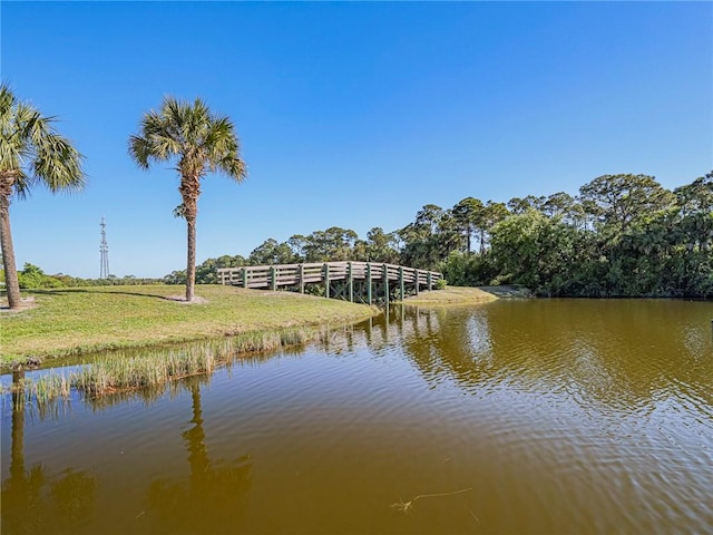 dock area with a water view