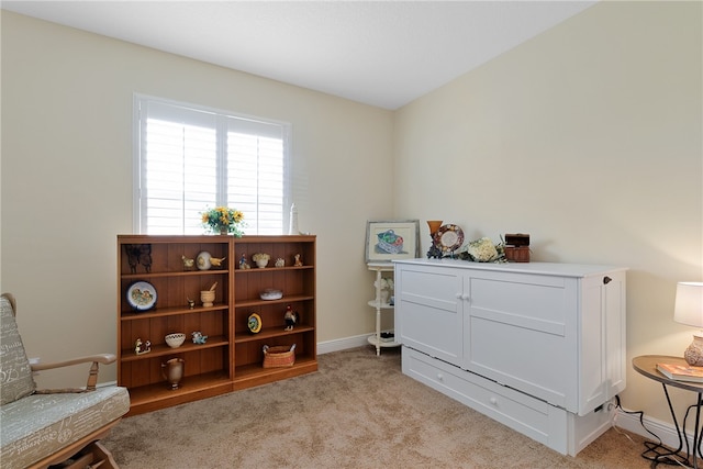 living area with light colored carpet