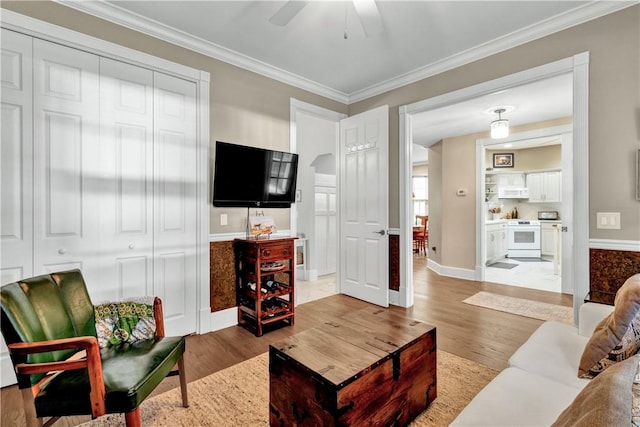 living room with light hardwood / wood-style floors, ceiling fan, and ornamental molding